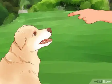 Image titled Train a Rescue Dog Step 12