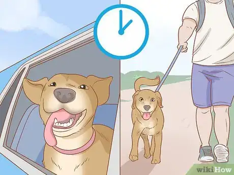 Image titled Take Your Dog Camping Step 5