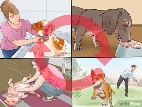 Image titled Bond with a Shy Dog Step 2