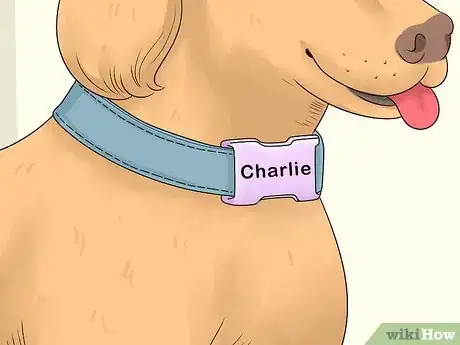 Image titled Keep Pets Safe During a Tornado Step 3