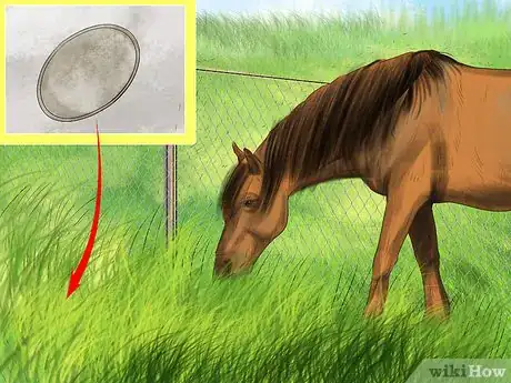 Image titled Prevent Parasites in Horses Step 9