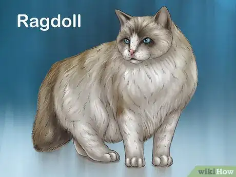 Image titled Choose a Kid Friendly Cat Step 15