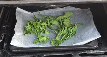 Store Kale Chips
