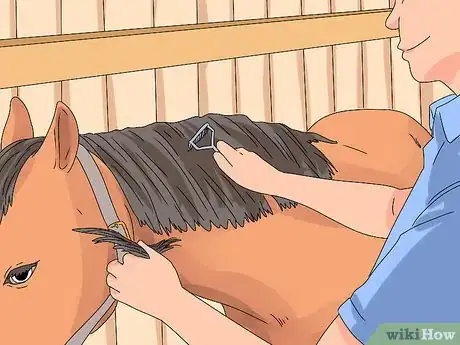 Image titled Pull a Horse's Mane Step 4