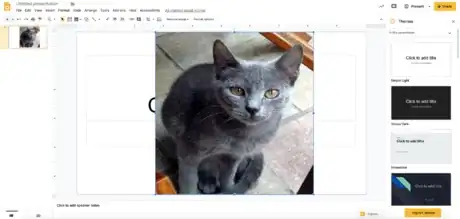 Image titled Screen Shot 2020 01 16 at 6.29.50 PM.png