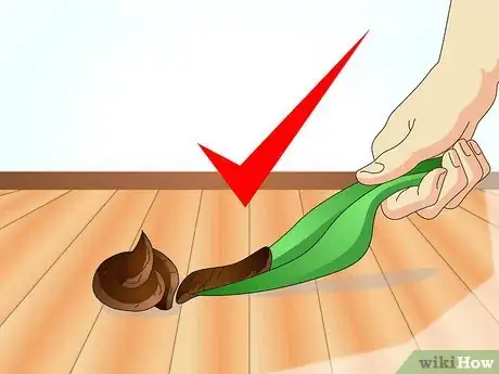 Image titled Diagnose Ascarids in Dogs Step 8