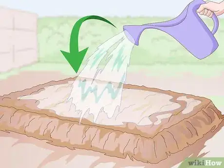 Image titled Grow Pansies Step 8