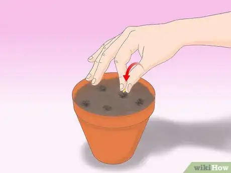 Image titled Plant a Lemon Seed Step 7