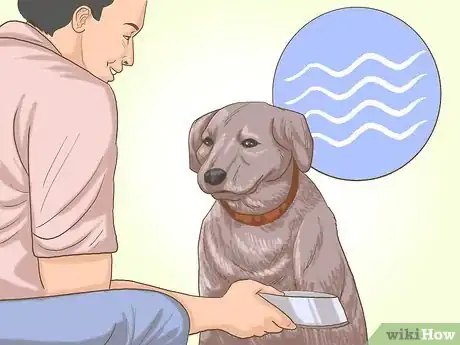Image titled Get a Dog to Eat Step 2
