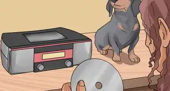 Help a Dog Overcome a Fear of Fireworks or Thunder