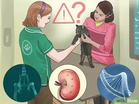 Image titled Take Care of Your Long Haired Maine Coon Step 4