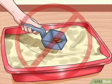 Image titled Prepare Your Cat for a New Baby Step 9