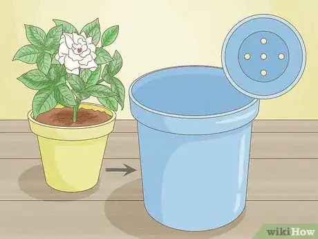 Image titled Transplant Potted Flowers Outdoors Step 9