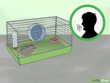Image titled Set a Routine for Your Hamster Step 4
