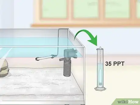 Image titled Set up a Small Reef Aquarium Step 8