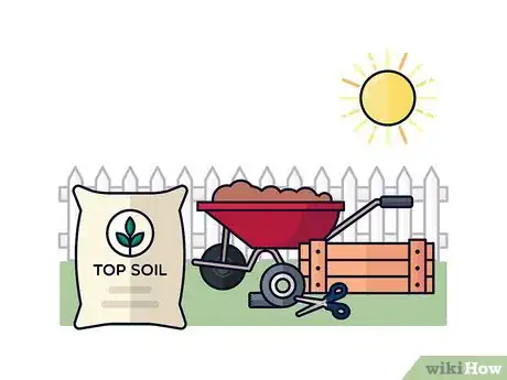 Image titled Grow Saffron Step 4