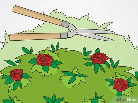 Image titled Maintain Roses Step 10