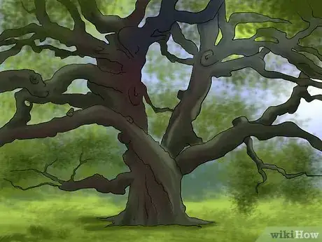 Image titled Buy an Oak Tree Step 12