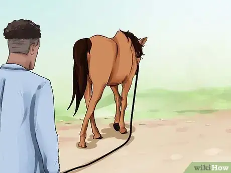 Image titled Be Comfortable Around a Bad‐Tempered Horse Step 23