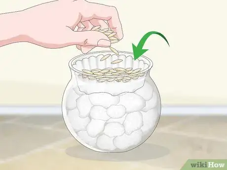 Image titled Make a Grass Pot for Cats Step 7