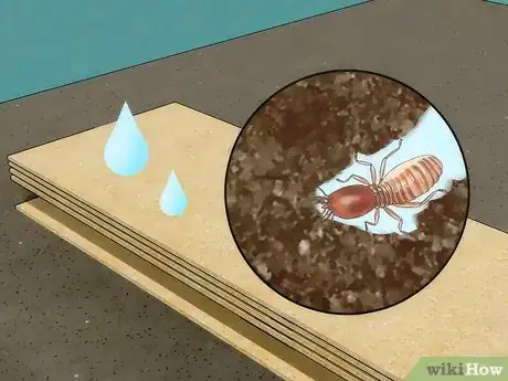 Image titled Get Rid of Termites Step 3