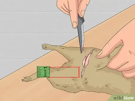 Image titled Skin a Squirrel Step 5