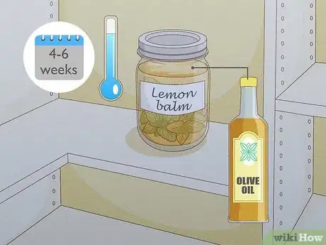 Image titled Harvest Lemon Balm Step 15