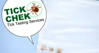 Prevent Tick Bites While Camping