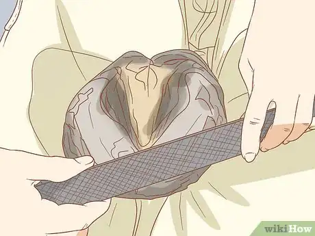Image titled Prevent Laminitis in Horses Step 9