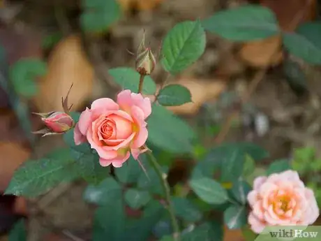 Image titled Arrange Foliage Step 4