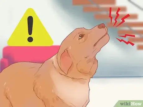 Image titled Train a Rescue Dog Step 11