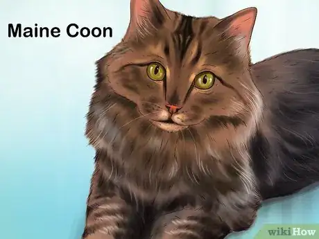 Image titled Choose a Kid Friendly Cat Step 10