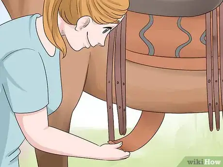 Image titled Put a Saddle On Step 15
