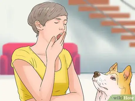 Image titled Bond with a Shy Dog Step 3