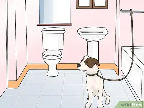 Image titled Groom a Hyper Dog Step 8