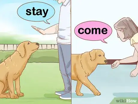 Image titled Take Your Dog Camping Step 4