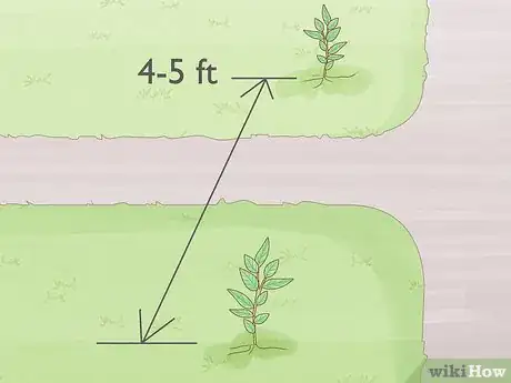 Image titled Grow Osage Oranges Step 14