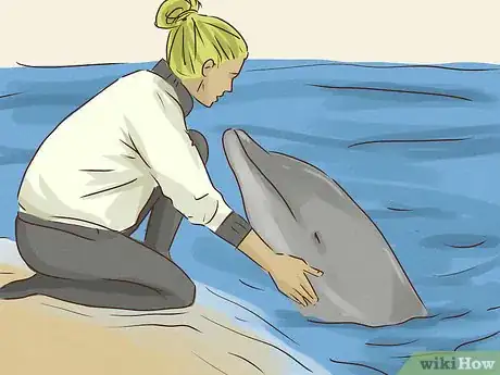 Image titled Be an Animal Lover Step 13