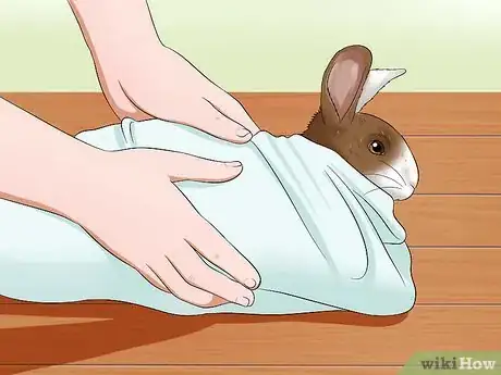 Image titled Deliver Eye Medication to Rabbits Step 3