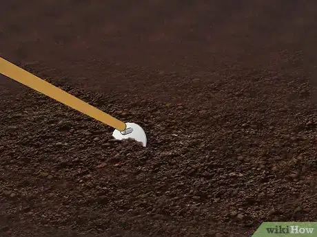 Image titled Grow Beans and Peas Step 7