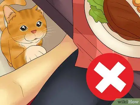 Image titled Eat Without a Cat Begging Step 1