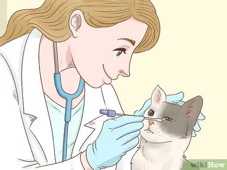 Image titled Diagnose and Treat Chlamydiosis in Cats Step 6