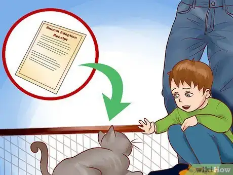 Image titled Adopt an Old Cat Step 8