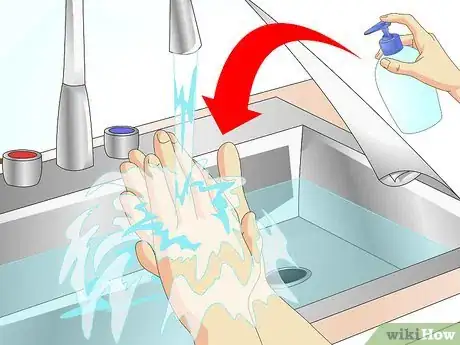 Image titled Diagnose Ascarids in Dogs Step 9