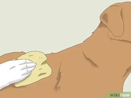 Image titled Remove Ticks from Furry Pets Step 8