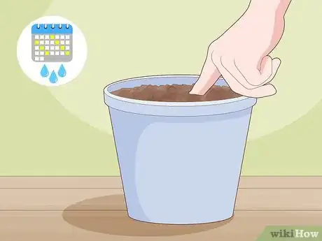 Image titled Take Root Cuttings Step 11