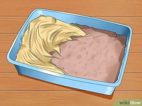 Image titled Care for Thrianta Rabbits Step 8