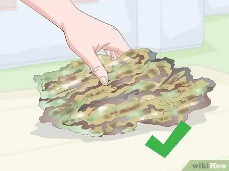 Image titled Start a Saltwater Reef Tank Step 13