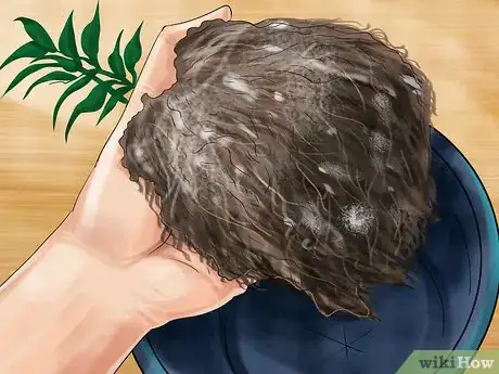 Image titled Germinate Seeds with Humidity Step 12