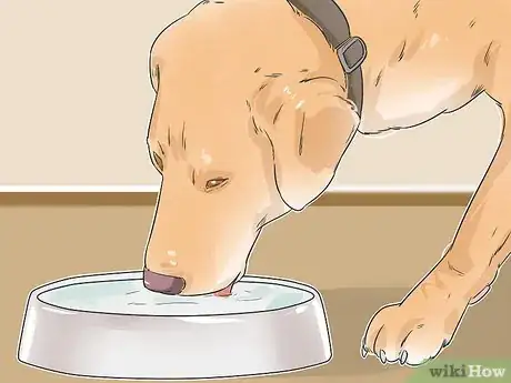 Image titled Involve a Dog in Pet Therapy Work Step 9